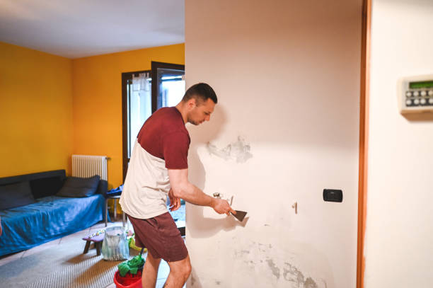 Best Preventive Mold Services in Lawrence, MA