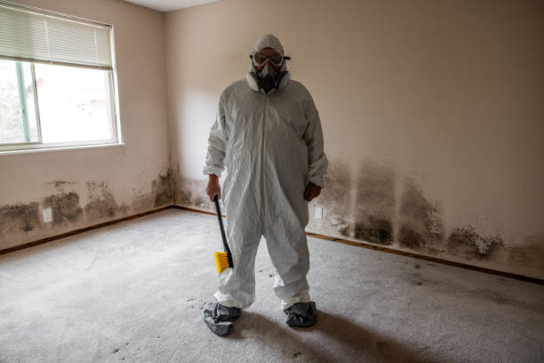 Best Emergency Mold Remediation in Lawrence, MA