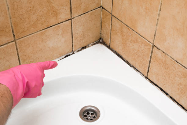 Lawrence, MA Mold Remediation Company
